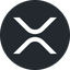 counter icon